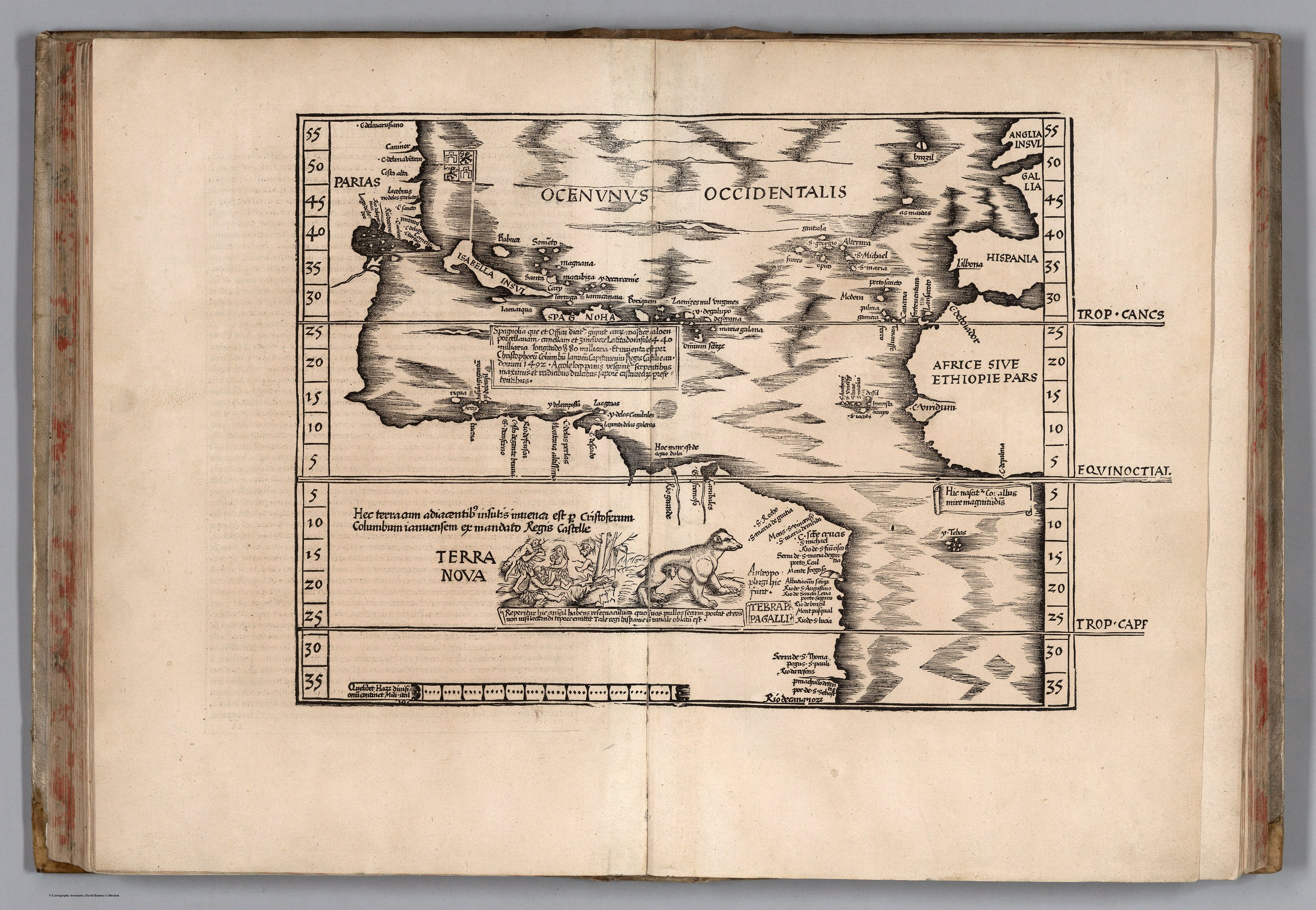 First State Quarters of the United States Collectors Map Think Tek Inc Collector/'s Map